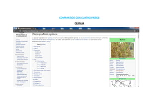 COMPARTIDO CON CUATRO PAÍSES:
QUINUA
 
