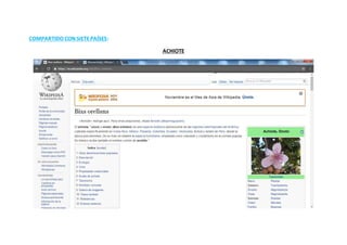 COMPARTIDO CON SIETEPAÍSES:
ACHIOTE
 