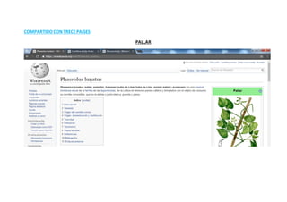 COMPARTIDO CON TRECEPAÍSES:
PALLAR
 