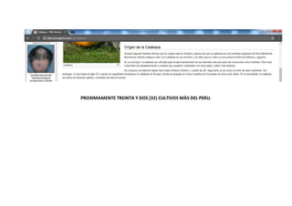 PROXIMAMENTE TREINTA Y DOS (32) CULTIVOS MÁS DEL PERU.
 