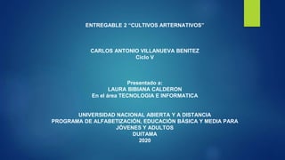 ENTREGABLE 2 “CULTIVOS ARTERNATIVOS”
CARLOS ANTONIO VILLANUEVA BENITEZ
Ciclo V
Presentado a:
LAURA BIBIANA CALDERON
En el área TECNOLOGIA E INFORMATICA
UNIVERSIDAD NACIONAL ABIERTA Y A DISTANCIA
PROGRAMA DE ALFABETIZACIÓN, EDUCACIÓN BÁSICA Y MEDIA PARA
JÓVENES Y ADULTOS
DUITAMA
2020
 
