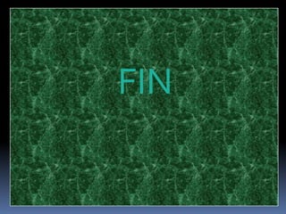 FIN
