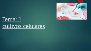 Tema: 1
cultivos celulares
 