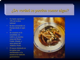 ¿De verdad se pueden comer algas?
•   En Japón suponen el
    10% de la dieta
    habitual
•   Se han consumido en
    Europa desde el siglo
    IX
•   Se cosumen en la
    actualidad, sin
    cultivo, en muchas
    zonas del Reino
    Unido, Irlanda, y
    otros países del
    Atlántico Norte
•   El mayor obstáculo en
    los países más
    meridionales es la
    ausencia de tradición
    gastronómica
 