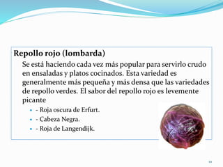 Repollo rojo (lombarda)
Se está haciendo cada vez más popular para servirlo crudo
en ensaladas y platos cocinados. Esta variedad es
generalmente más pequeña y más densa que las variedades
de repollo verdes. El sabor del repollo rojo es levemente
picante
 - Roja oscura de Erfurt.
 - Cabeza Negra.
 - Roja de Langendijk.
10
 