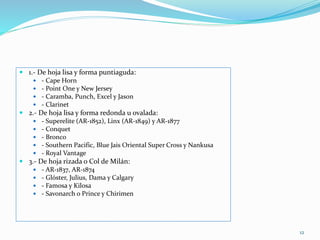  1.- De hoja lisa y forma puntiaguda:
 - Cape Horn
 - Point One y New Jersey
 - Caramba, Punch, Excel y Jason
 - Clarinet
 2.- De hoja lisa y forma redonda u ovalada:
 - Superelite (AR-1852), Linx (AR-1849) y AR-1877
 - Conquet
 - Bronco
 - Southern Pacific, Blue Jais Oriental Super Cross y Nankusa
 - Royal Vantage
 3.- De hoja rizada o Col de Milán:
 - AR-1837, AR-1874
 - Glóster, Julius, Dama y Calgary
 - Famosa y Kilosa
 - Savonarch o Prince y Chirimen
12
 