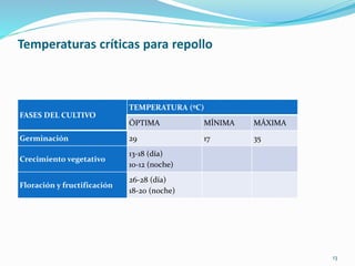 Temperaturas críticas para repollo
FASES DEL CULTIVO
TEMPERATURA (ºC)
ÓPTIMA MÍNIMA MÁXIMA
Germinación 29 17 35
Crecimiento vegetativo
13-18 (día)
10-12 (noche)
Floración y fructificación
26-28 (día)
18-20 (noche)
13
 