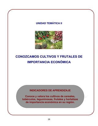 UNIDAD TEMÁTICA II
CONOZCAMOS CULTIVOS Y FRUTALES DE
IMPORTANCIA ECONÓMICA
.
INDICADORES DE APRENDIZAJE
Conoce y valora los cultivos de cereales,
tubérculos, leguminosas, frutales y hortalizas
de importancia económica en su región.
28
 