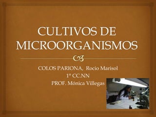 COLOS PARIONA, Rocio Marisol
1° CC.NN
PROF. Mónica Villegas
 