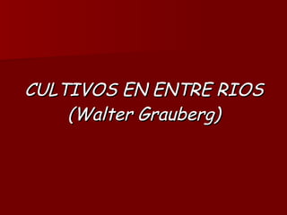 CULTIVOS EN ENTRE RIOS (Walter Grauberg) 