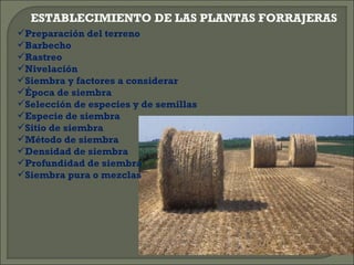 ESTABLECIMIENTO DE LAS PLANTAS FORRAJERAS
Preparación del terreno
Barbecho
Rastreo
Nivelación
Siembra y factores a considerar
Época de siembra
Selección de especies y de semillas
Especie de siembra
Sitio de siembra
Método de siembra
Densidad de siembra
Profundidad de siembra
Siembra pura o mezclas
 