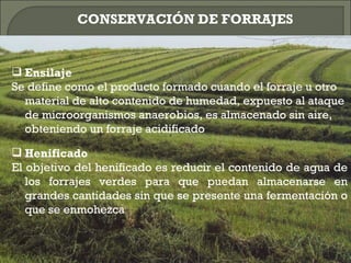 CONSERVACIÓN DE FORRAJES


 Ensilaje
Se define como el producto formado cuando el forraje u otro
  material de alto contenido de humedad, expuesto al ataque
  de microorganismos anaerobios, es almacenado sin aire,
  obteniendo un forraje acidificado

 Henificado
El objetivo del henificado es reducir el contenido de agua de
   los forrajes verdes para que puedan almacenarse en
   grandes cantidades sin que se presente una fermentación o
   que se enmohezca
 