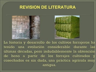 REVISION DE LITERATURA
 