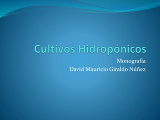 Monografía
David Mauricio Giraldo Núñez
 