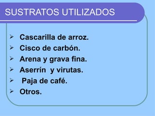SUSTRATOS UTILIZADOS

   Cascarilla de arroz.
   Cisco de carbón.
   Arena y grava fina.
   Aserrín y virutas.
   Paja de café.
   Otros.
 