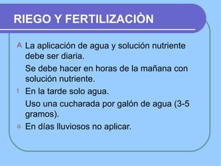 RIEGO Y FERTILIZACIÒN

A   La aplicación de agua y solución nutriente
    debe ser diaria.
    Se debe hacer en horas de la mañana con
    solución nutriente.
t   En la tarde solo agua.
    Uso una cucharada por galón de agua (3-5
    gramos).
a   En días lluviosos no aplicar.
 