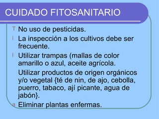 CUIDADO FITOSANITARIO
 T No uso de pesticidas.
 i La inspección a los cultivos debe ser
   frecuente.
 l Utilizar trampas (mallas de color
   amarillo o azul, aceite agrícola.
   Utilizar productos de origen orgánicos
   y/o vegetal {té de nin, de ajo, cebolla,
   puerro, tabaco, ají picante, agua de
   jabón}.
 a Eliminar plantas enfermas.
 