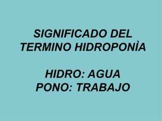 SIGNIFICADO DEL
TERMINO HIDROPONÌA

   HIDRO: AGUA
  PONO: TRABAJO
 