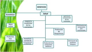 BENEFICIOS



Económicos                         Salud
                                                                optimiza la
                                                               composición
                                                                  de los
               mejora la                                        nutrientes
              estabilidad
  Bajos         de los                                                              Eliminación de
  costos      nutrientes                                                             compuestos
                                                                                         anti-
                                                     Producción                      nutricionales
                                                         de
                                                    fitoquímicos
 Productos
    mas       Aumenta la
económicos    cantidad de                                              Eliminación de
             antioxidantes                                                proteínas
              y vitaminas           Producción de
                                     compuestos                           Alérgicas
                                      dietéticos
 