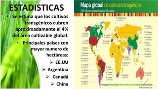 ESTADISTICAS
• Se estima que los cultivos
        transgénicos cubren
   aproximadamente el 4%
  del área cultivable global.
    • Principales países con
           mayor numero de
                  hectáreas:
                     EE.UU
                 Argentina
                   Canadá
                     China
 