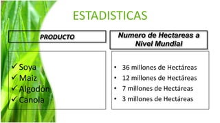 ESTADISTICAS
      PRODUCTO         Numero de Hectareas a
                          Nivel Mundial


 Soya             •    36 millones de Hectáreas
 Maiz             •    12 millones de Hectáreas
 Algodón          •    7 millones de Hectáreas
 Canola           •    3 millones de Hectáreas
 