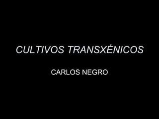 CULTIVOS TRANSXÉNICOS CARLOS NEGRO 