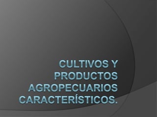 Cultivos y productos agropecuarios característicos. 