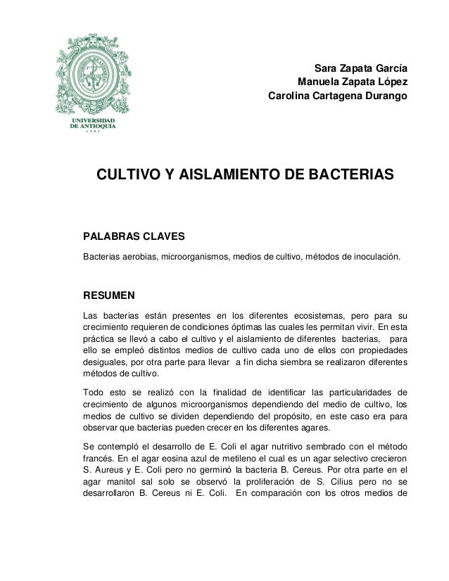 Cultivo y aislamiento de bacterias Cultivos de sangre: así se produce la sustancia clave para