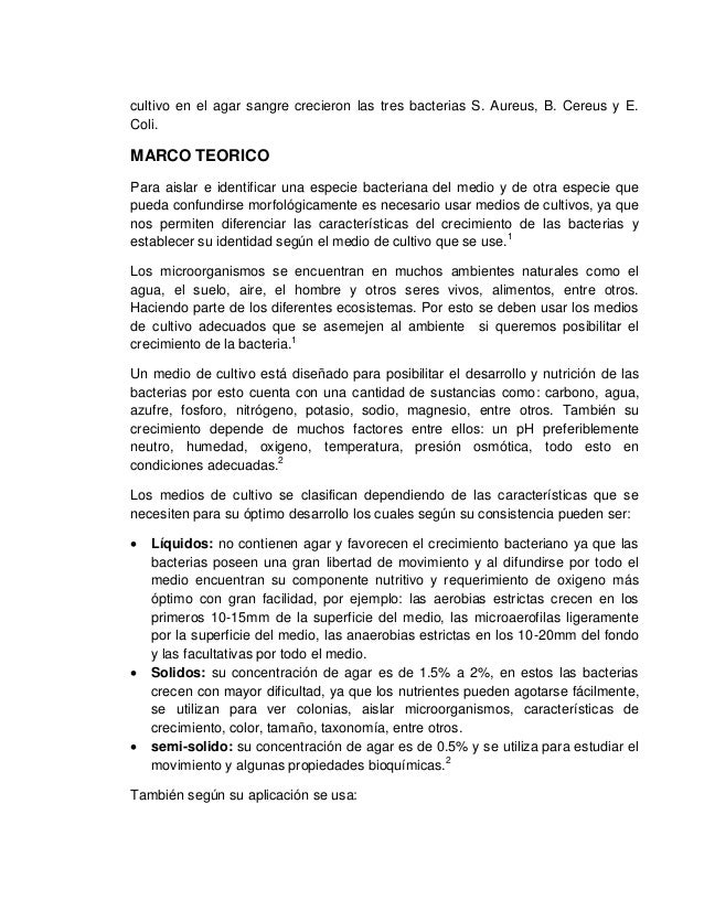 Cultivo y aislamiento de bacterias Cultivos de sangre: así se produce la sustancia clave para
