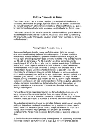 Cultivo y Producción de Cacao:<br />Theobroma cacao L.: es el nombre científico que recibe el árbol del cacao o cacaotero. Theobroma, en griego, significa 'bebida de los dioses'; cacao viene del nahuatl “cacahualt”. El nombre científico lleva añadida al final una L., que es la inicial del apellido del naturalista sueco que clasificó la planta, Carlos Lineo.<br />Theobroma cacao es una especie nativa del sureste de México que se extiende desde Mesoamérica hasta las selvas del Amazonas, crece entre 20° al norte y 20° al sur del Ecuador (Venezuela, Ecuador, Brasil, Perú y cuencas del Orinoco en Sudamérica). <br />Flores y frutos de Theobroma cacao L.<br />Sus pequeñas flores de color rosa y sus frutos crecen de forma inusual: directamente del tronco y de las ramas más antiguas. El fruto es una baya denominada maraca o mazorca, que tiene forma de calabacín alargado, se vuelve roja o amarillo purpúrea y pesa aproximadamente 450 g cuando madura (de 15 a 30 cm de largo por 7 a 12 de ancho). Un árbol comienza a rendir cuando tiene 4 ó 5 años. En un año, cuando madura, puede tener 6.000 flores pero sólo 20 frutos. A pesar de que sus frutos maduran durante todo el año, normalmente se realizan dos cosechas: la principal (que empieza hacia el final de la estación lluviosa y continúa hasta el inicio de la estación seca) y la intermedia (al principio del siguiente periodo de lluvias), y son necesarios de cinco a seis meses entre su fertilización y su recolección. La mazorca tiene una corteza rugosa de casi 2 cm de espesor. Está rellena de una pulpa rosada viscosa, dulce y comestible, que encierra de 30 a 50 granos largos (blancos y carnosos) acomodados en filas en el enrejado que forma esa pulpa. Los granos o habas del cacao tienen la forma de las judías (porotos): dos partes y un germen rodeados de una envoltura rica en tanino. Su sabor en bruto es muy amargo y astringente.<br />Tan pronto como las mazorcas maduran, los llamados tumbadores, con una hoz o con un cuchillo especial tipo hoz fijado sobre una pértiga, cortan el pedúnculo de la mazorca, teniendo cuidado de no dañar las flores y los brotes cercanos. Después se corta el fruto con el machete en sentido transversal. <br />Se cortan las vainas sin estropear las semillas. Estas se sacan con un utensilio en forma de cuchara con la pulpa que las rodea, y se disponen en un montón cónico sobre una base de hojas de plátano. Luego se enrollan las hojas de la base y se añaden otras hojas grandes para envolver los montones completamente. Así se inicia el proceso de fermentación, que dura unos seis días. <br />El proceso químico de fermentaciones es el siguiente: las bacterias y levaduras presentes en el aire se multiplican en la pulpa que rodea los granos, ésta se descompone formando un líquido ácido. Esto aumenta la temperatura del montón y unas transformaciones tienen lugar en el interior de cada grano. Su color cambia del púrpura al marrón chocolate y el olor a cacao <br />Empieza a manifestarse. La fermentación a veces se omite, habiendo plantadores y fabricantes a favor y en contra de ello. El objetivo de esta fermentación es doble: primero, que la pulpa se convierta en ácido acético que se evapora y que la semilla se hinche, hasta parecerse a una almendra gruesa de color marrón. Segundo, que se reduzca el amargor y la astringencia, y que se desarrollen los precursores del aroma. La calidad de los granos depende de este proceso de fermentación. Si es excesivo, el cacao puede arruinarse; si es insuficiente, puede adquirir un sabor desagradable y son atacados por los hongos. <br />A continuación, se extienden los granos y, mientras se rastrillan constantemente, se desecan. En las grandes plantaciones, esto se hace con enormes bandejas, tanto en el exterior para que actúen los rayos del sol, como en cobertizos mediante calor artificial. El peso de los granos disminuye con este proceso, llegando a una cuarta parte de su peso original<br />Producción Industrial de Chocolate:<br />1. Primero los granos son sometidos a un proceso de limpieza donde se procura extraer elementos extraños como piedras y otros que pudieran haber venido desde origen. <br />2. Una vez limpio el cacao es tostado bajo controles estrictos de tiempo y temperatura. Este es otro de los procesos de máxima importancia que define el gusto y aroma que posteriormente resaltará en el chocolate. <br />3. El cacao tostado luego es descascarillado, donde se quita la quot;
cascarillaquot;
 que lo recubre, elemento no deseado en la fabricación de chocolate. Como resultado, el interior del grano ya partido o quot;
nib de cacaoquot;
, como comúnmente se lo llama en la industria, continua el proceso de fabricación.<br />4. Los nibs de cacao son sometidos a un proceso de molienda. La temperatura en el molino ayuda a que se desprenda el alto contenido de grasa presente en los nibs, haciendo que los fragmentos de cacao sólido se conviertan en una pasta conocida como quot;
pasta, masa o licor de cacaoquot;
.<br />5. El licor de cacao es el ingrediente principal en la mezcla de un chocolate. Pero adicionalmente se le puede prensar para obtener dos subproductos. Bajo presión, por un lado se separa su grasa o quot;
manteca de cacaoquot;
 y por el otro lado se recibe los sólidos de cacao conocido como quot;
torta de cacaoquot;
 (usualmente la torta conserva un 10-12% de manteca de cacao en su interior). La torta de cacao es comúnmente sometida a una molienda fina para obtener el quot;
cacao en polvoquot;
, ingrediente muy utilizado en la pastelería tradicional.<br />6. Mezclado: Los ingredientes que llevará el chocolate se unen inicialmente en el mezclado. En los quot;
chocolates negrosquot;
 solo se utiliza licor de cacao y azúcar en una proporción que determinara el tipo de cobertura obtenida: dulce, semiamarga o amarga a medida que se aumenta la proporción de licor sobre la de azúcar. Para la preparación del quot;
chocolate con lechequot;
 se le suma leche en polvo a la formula. En el caso del quot;
chocolate blancoquot;
, no se utiliza licor de cacao, mezclando solamente manteca de cacao (grasa contenida en el licor), azúcar y leche en polvo. <br />7. Refinado: La mezcla inicial es luego procesada en refinadoras de 5 cilindros con el objetivo de disminuir el tamaño de las partículas, de tal forma que el chocolate final sea suave al paladar evitando así la sensación de arenosidad que suelen presentar chocolates mal procesados. <br />8. Concado: El chocolate refinado es luego depositado en tanques o quot;
concasquot;
 donde es sometido a un batido intenso durante aproximadamente 24 horas. En este proceso, conocido como concado, se busca por un lado redondear las diminutas partículas ya refinadas y adicionalmente extraer los componentes volátiles no deseables presentes todavía en la mezcla. Se trata principalmente de ácidos provenientes del cacao que no aportan aroma en el chocolate sino solamente astringencia y amargor. El tipo de concado y duración los elige el productor a su criterio y en gran forma determinan las características propias de cada chocolate<br />