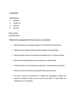 Variedades
(Tipo blanco)
1. Serrallés
2. Jamaica 18
3. Valencia
4. CM 3311
(Tipo crema)
Pana Monacillos
Material de propagación (Criterios para su selección)
 Utilizar estacas para esquejes (cangres) de las plantas más productivas.
 Seleccionar las estacas de plantas libres de plagas y enfermedades.
 Utilizar esquejes maduros provenientes de plantas de 8 a 12 meses de edad.
 Seleccionar esquejes obtenidos de la parte baja y media del tallo.
 Evitar daño físico en los procesos de preparación, almacenamiento y siembra.
 Reducir al mínimo el período de almacenamiento de las estacas.
 En caso de tener que almacenar el material de propagación, coloque las
estacas en posición vertical, con las yemas hacia arriba. El lugar deber ser
sombreado y con ventilación.
 