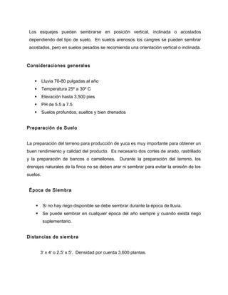 Los esquejes pueden sembrarse en posición vertical, inclinada o acostados
dependiendo del tipo de suelo. En suelos arenosos los cangres se pueden sembrar
acostados, pero en suelos pesados se recomienda una orientación vertical o inclinada.
Consideraciones generales
 Lluvia 70-80 pulgadas al año
 Temperatura 25º a 30º C
 Elevación hasta 3,500 pies
 PH de 5.5 a 7.5
 Suelos profundos, sueltos y bien drenados
Preparación de Suelo
La preparación del terreno para producción de yuca es muy importante para obtener un
buen rendimiento y calidad del producto. Es necesario dos cortes de arado, rastrillado
y la preparación de bancos o camellones. Durante la preparación del terreno, los
drenajes naturales de la finca no se deben arar ni sembrar para evitar la erosión de los
suelos.
Época de Siembra
 Si no hay riego disponible se debe sembrar durante la época de lluvia.
 Se puede sembrar en cualquier época del año siempre y cuando exista riego
suplementario.
Distancias de siembra
3' x 4' o 2.5' x 5'. Densidad por cuerda 3,600 plantas.
 