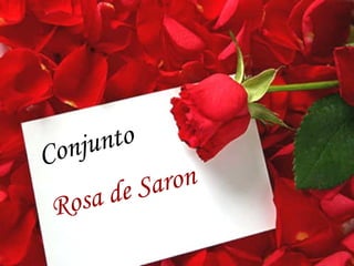 Conjunto Rosa de Saron 