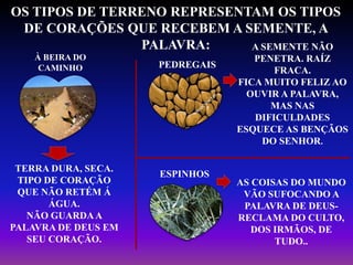 À BEIRA DO
CAMINHO PEDREGAIS
ESPINHOS
OS TIPOS DE TERRENO REPRESENTAM OS TIPOS
DE CORAÇÕES QUE RECEBEM A SEMENTE, A
PALAVRA:
TERRA DURA, SECA.
TIPO DE CORAÇÃO
QUE NÃO RETÉM Á
ÁGUA.
NÃO GUARDAA
PALAVRA DE DEUS EM
SEU CORAÇÃO.
A SEMENTE NÃO
PENETRA. RAÍZ
FRACA.
FICA MUITO FELIZ AO
OUVIR A PALAVRA,
MAS NAS
DIFICULDADES
ESQUECE AS BENÇÃOS
DO SENHOR.
AS COISAS DO MUNDO
VÃO SUFOCANDO A
PALAVRA DE DEUS-
RECLAMA DO CULTO,
DOS IRMÃOS, DE
TUDO..
 