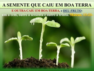 A SEMENTE QUE CAIU EM BOA TERRA
E OUTRA CAIU EM BOA TERRA, e DEU FRUTO:
um a cem, outro a sessenta e outro a trinta. Mateus. 13:23-
 