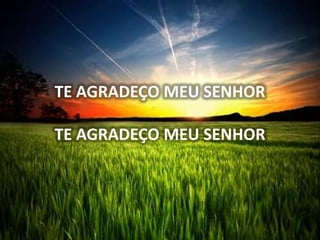 TE AGRADEÇO MEU SENHOR
TE AGRADEÇO MEU SENHOR
 