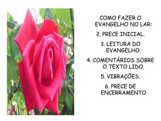 COMO FAZER O EVANGELHO NO LAR: PRECE INICIAL. LEITURA DO EVANGELHO. COMENTÁRIOS SOBRE O TEXTO LIDO. VIBRAÇÕES. PRECE DE ENCERRAMENTO 