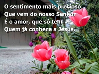 O sentimento mais precioso Que vem do nosso SenhorÉ o amor, que só temQuem já conhece a Jesus.