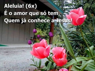 Aleluia! (6x)É o amor que só temQuem já conhece a Jesus!