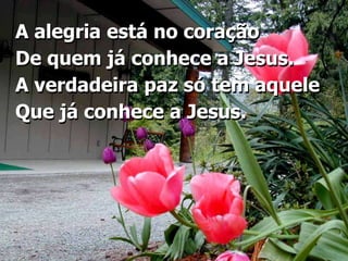 A alegria está no coração De quem já conhece a Jesus.A verdadeira paz só tem aquele Que já conhece a Jesus.