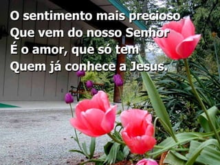 O sentimento mais precioso Que vem do nosso SenhorÉ o amor, que só temQuem já conhece a Jesus.