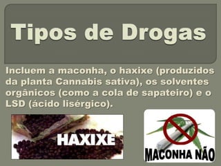 Incluem a maconha, o haxixe (produzidos
da planta Cannabis sativa), os solventes
orgânicos (como a cola de sapateiro) e o
LSD (ácido lisérgico).
 