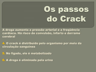 A droga aumenta a pressão arterial e a freqüência
cardíaca. Há risco de convulsão, infarto e derrame
cerebral

4. O crack é distribuído pelo organismo por meio da
circulação sanguínea

5. No fígado, ele é metabolizado

6. A droga é eliminada pela urina
 
