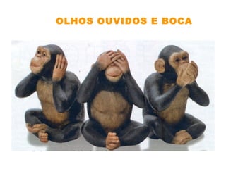 OLHOS OUVIDOS E BOCA
 