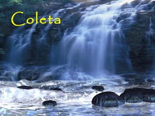 Coleta
 