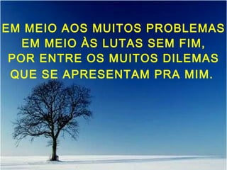 EM MEIO AOS MUITOS PROBLEMAS
EM MEIO ÀS LUTAS SEM FIM,
POR ENTRE OS MUITOS DILEMAS
QUE SE APRESENTAM PRA MIM.
 
