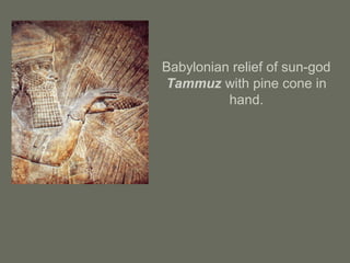 Babylonian relief of sun-god
Tammuz with pine cone in
hand.
 