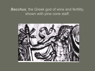 Bacchus, the Greek god of wine and fertility,
shown with pine cone staff.
 