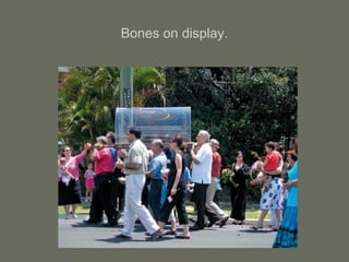 Bones on display.
 