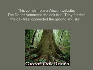 This comes from a Wiccan website.
The Druids venerated the oak tree. They felt that
the oak tree ‘connected the ground and sky’.
 
